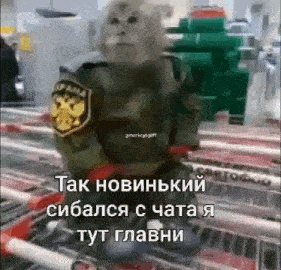 a monkey in a military uniform is sitting in a shopping cart in a supermarket .