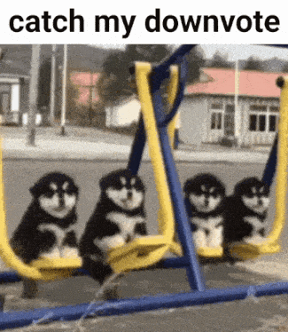 four husky puppies are sitting on a swing set in a park .