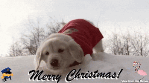 Gifs By Me Vfht GIF - Gifs By Me Vfht Christmas GIFs