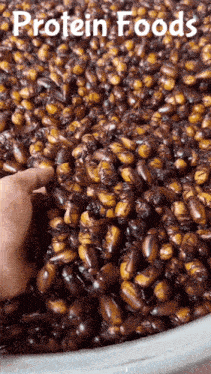 a pile of protein foods with a hand reaching for one