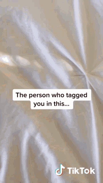 Tiktok Dog GIF