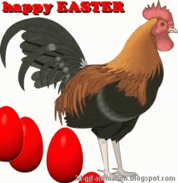 Red Eggs Rooster GIF