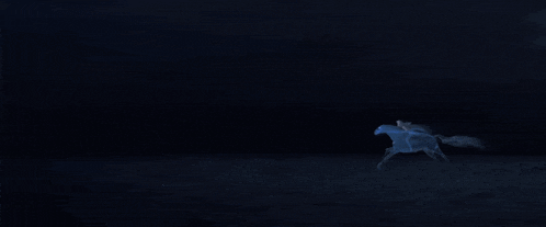 a person is riding a horse in the dark