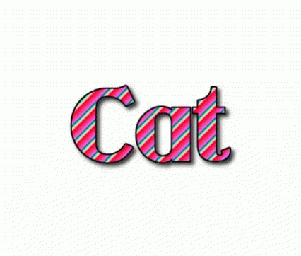 Cat Name Cat GIF