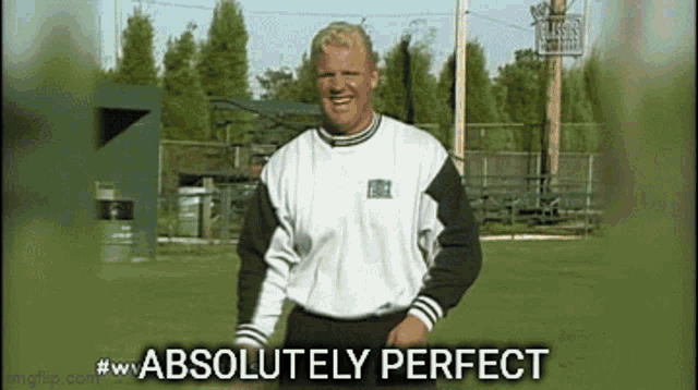 Mr Perfect Wade Boggs GIF - Mr Perfect Wade Boggs Absolutely Perfect GIFs
