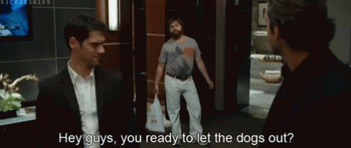 Zach Galifianakis Let The Dogs Out GIF - Zach Galifianakis Let The Dogs Out The Hangover GIFs