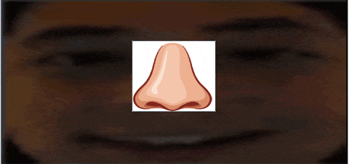 a picture of a person 's nose with a smile on it
