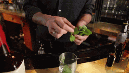 a bartender prepares a drink with mint leaves and a glass