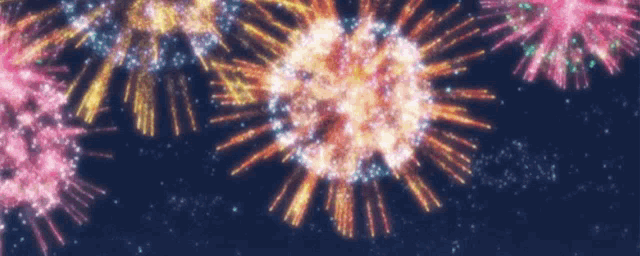 a bunch of fireworks are exploding in the sky