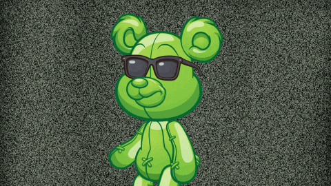 a green teddy bear wearing sunglasses is standing on a gray background
