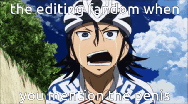 a crying anime character with the words " the editing fandom when you mention the penis " on the bottom