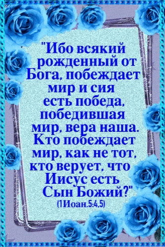 a bible verse in russian with blue roses in the background