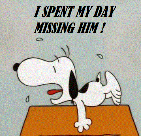 Missing Him Meme - Missing him - Discover & Share GIFs