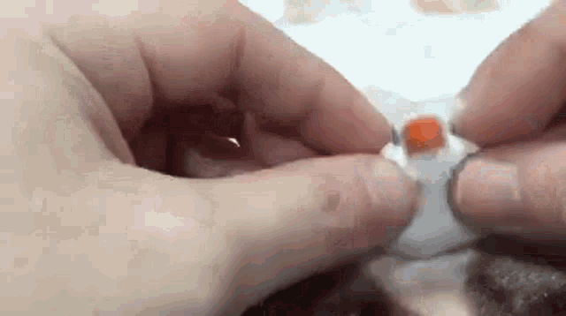a close up of a person holding a small toy .