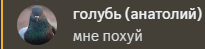 a picture of a pigeon in a circle with russian writing below