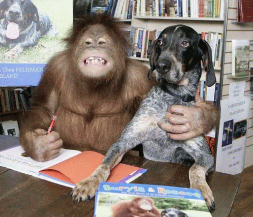 Monkey Dog GIF - Monkey Dog Book GIFs