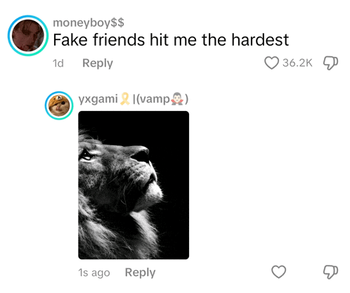 a picture of a lion with a reply from moneyboy $