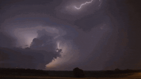 a lightning bolt strikes a tree in the distance