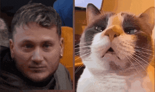 a man 's face is next to a picture of a cat 's face