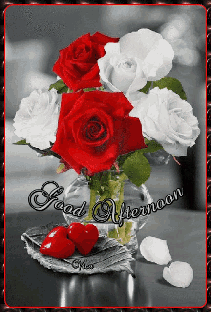 a bouquet of red and white roses in a vase with the words good afternoon