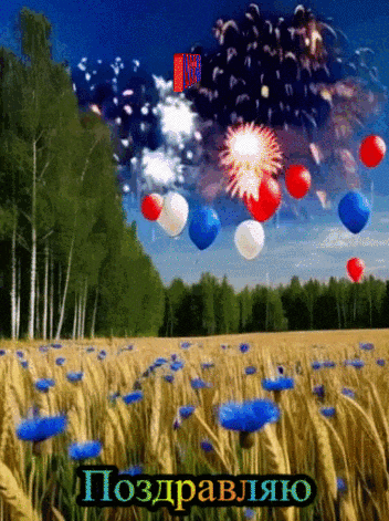 a field of wheat with blue flowers and fireworks in the sky
