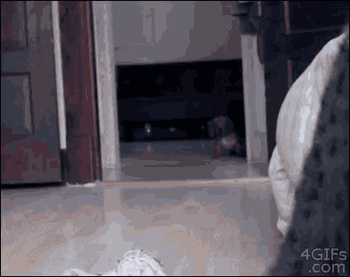 a gif from 4gifs.com shows a person standing in a hallway