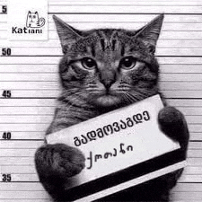 a black and white photo of a cat holding a sign in front of a line .
