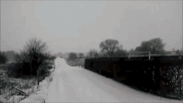 a black and white photo of a snowy road with trees on the side