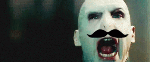 佛地魔 啊啊啊 吶喊 不爽 大叫 尖叫 不 GIF - Voldemort Noooo Scream GIFs