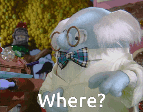 a stuffed animal wearing glasses and a bow tie asks where