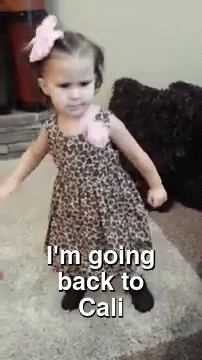 The Most Adorbs Video Of 2015 GIF - Gif Story GIFs