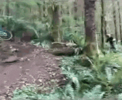 a blurred image of a person riding a bike in the woods .