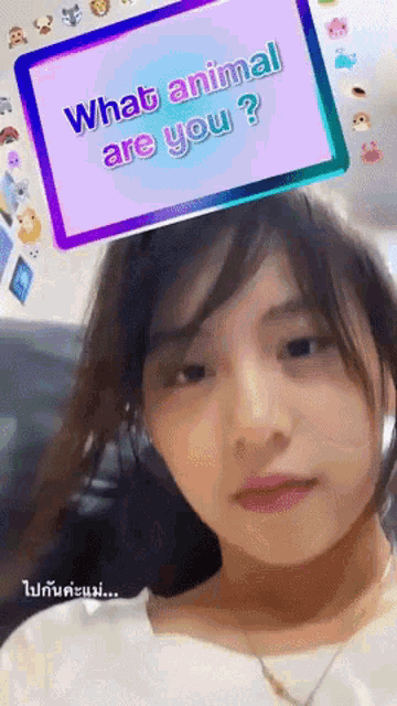 Fond Bnk48 Bnk48 GIF - Fond Bnk48 Bnk48 What Animal Are You GIFs