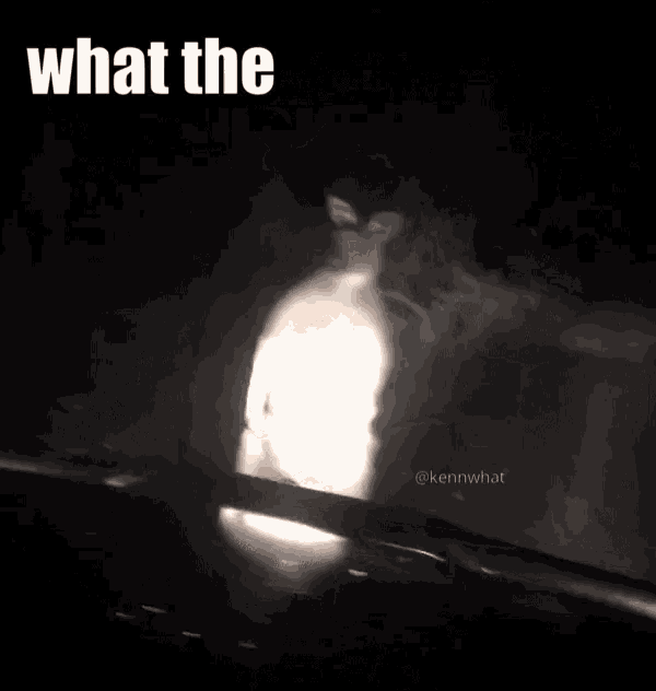 a picture of a kangaroo with the words " no what did you say what the fuck dude " above it