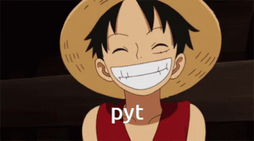 Pyt Luffy GIF - Pyt Luffy One Piece GIFs