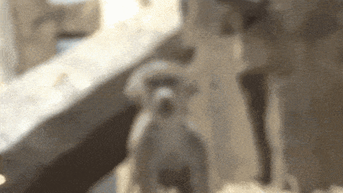 a blurry picture of a dog standing next to a table