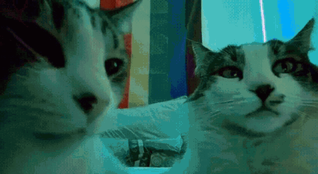 прив GIF