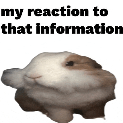 a brown and white rabbit with the words `` my reaction to that information '' above it .