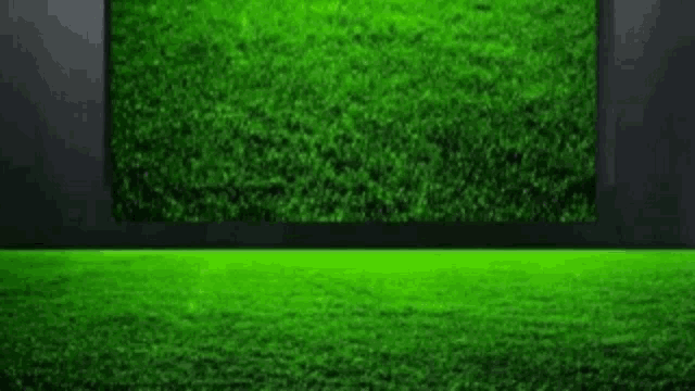 a picture of a soccer field with arabic writing on the wall