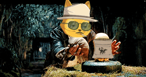 a cat wearing sunglasses and a hat is holding a skull