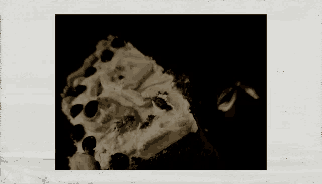 a black and white photo of a slice of cake