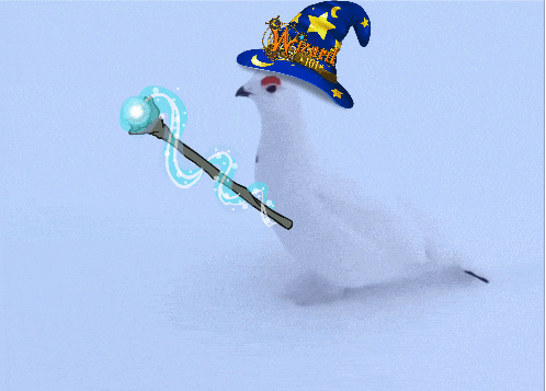 a white bird wearing a wizard hat is holding a wand