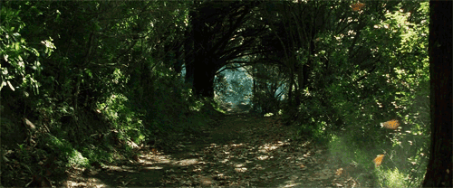 All Alone GIF - Hobbit Shire Allalone GIFs