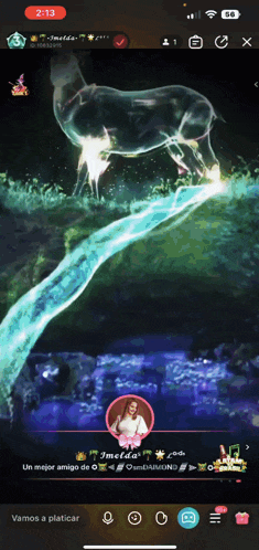 a screenshot of a video game with the time of 2:13 on the bottom