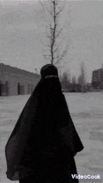 a woman in a black veil is standing in the snow with a videobook watermark