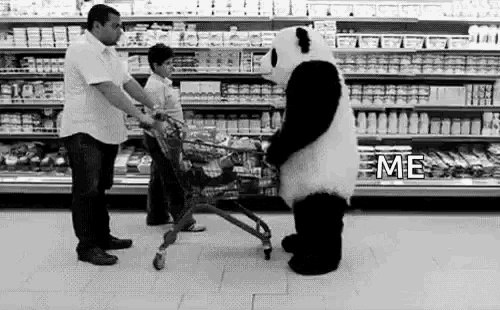 Panda Groceries GIF - Panda Groceries Angry GIFs