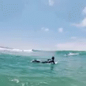 Wave Heat GIF - Wave Heat Ocean GIFs