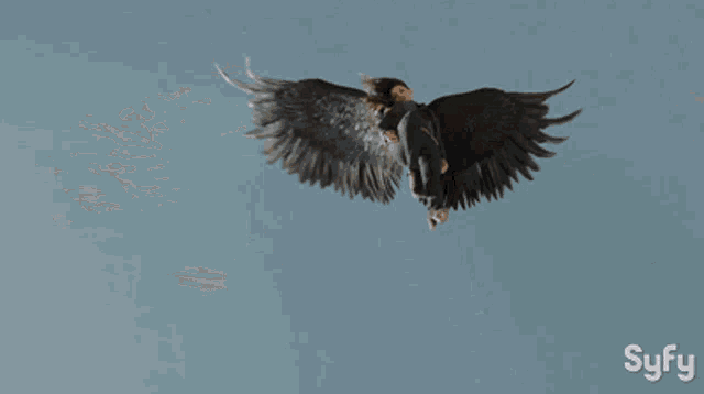 a woman with large black wings and the word syfy behind her