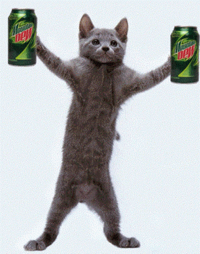 Mountain Dew Cat GIF - Mountain Dew Cat Kitten GIFs