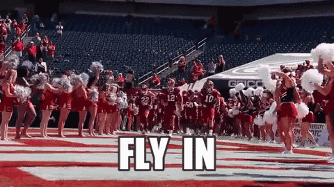 a group of cheerleaders are leading a football team on a field with the words fly in behind them